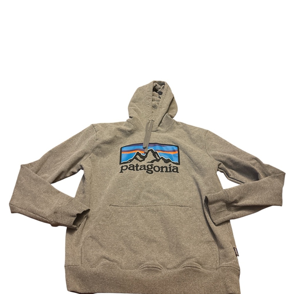 Patagonia Gray Sweatshirt Hoodie